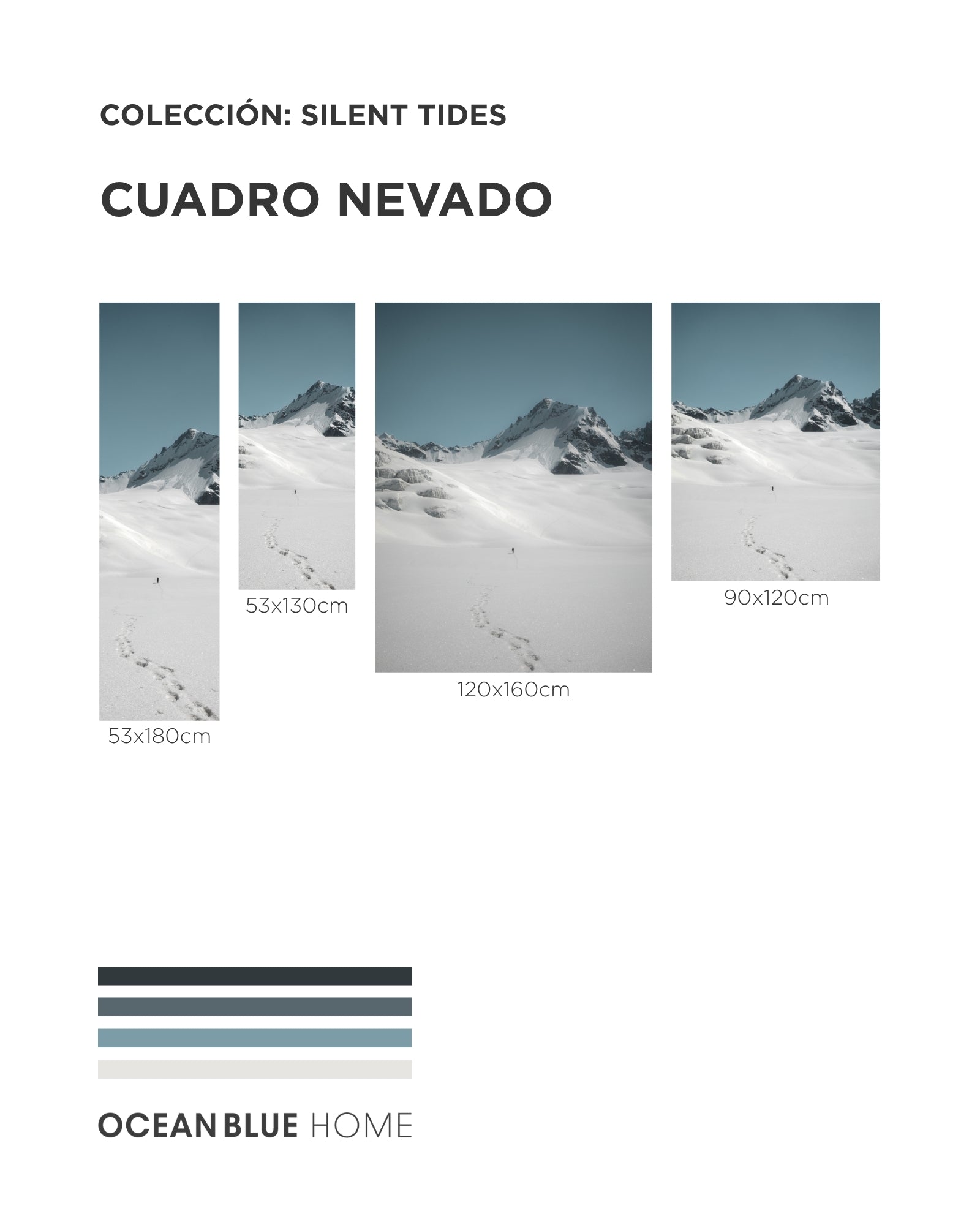 Cuadro Nevado