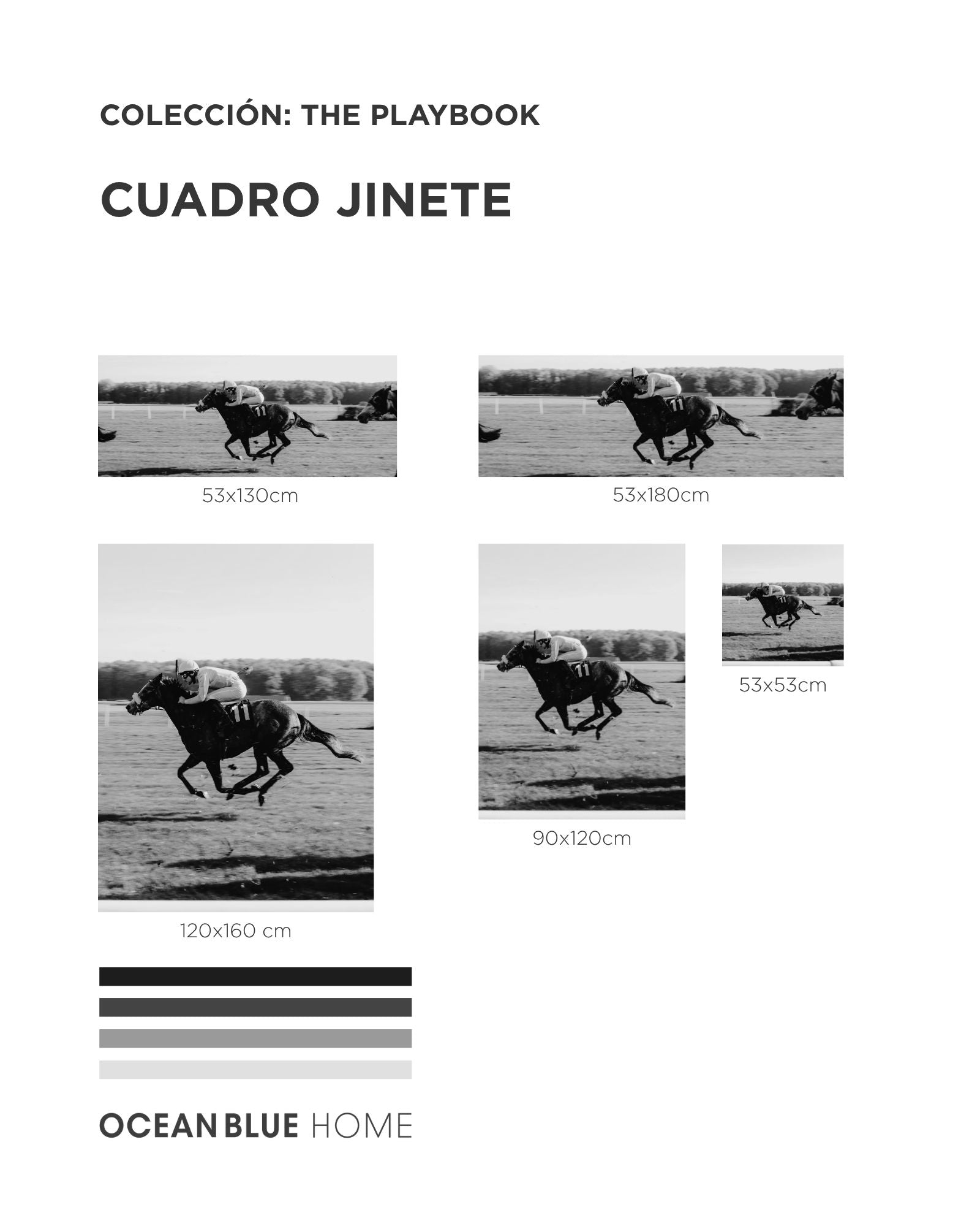 Cuadro Jinete