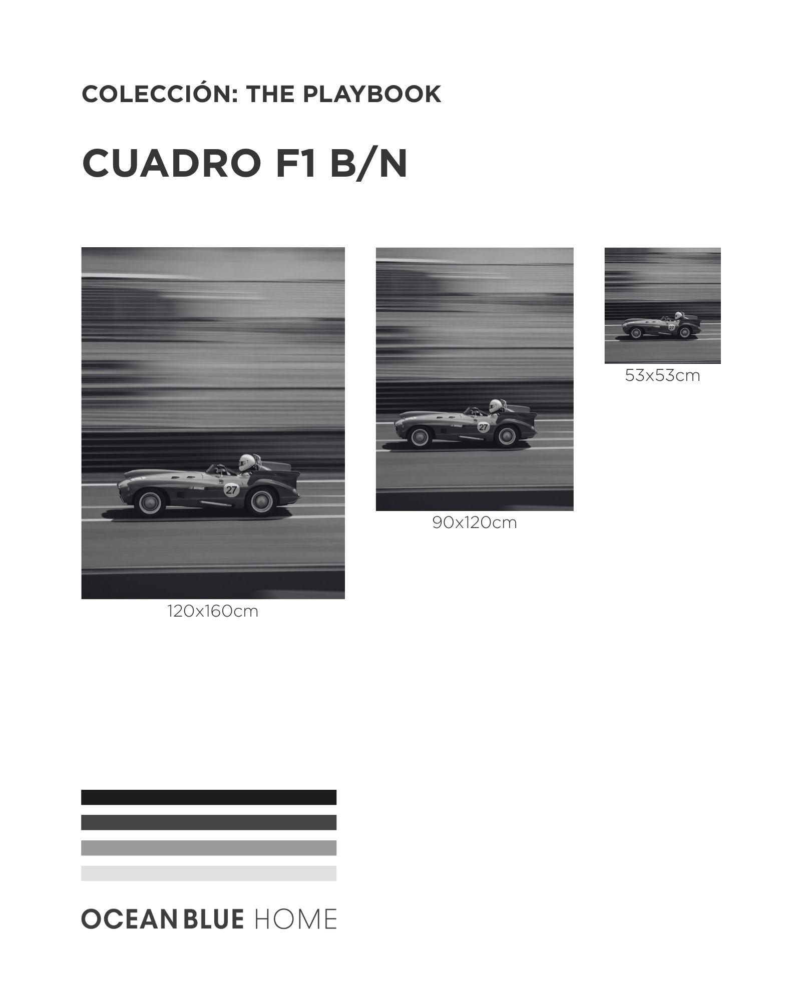 Cuadro F1 B/N