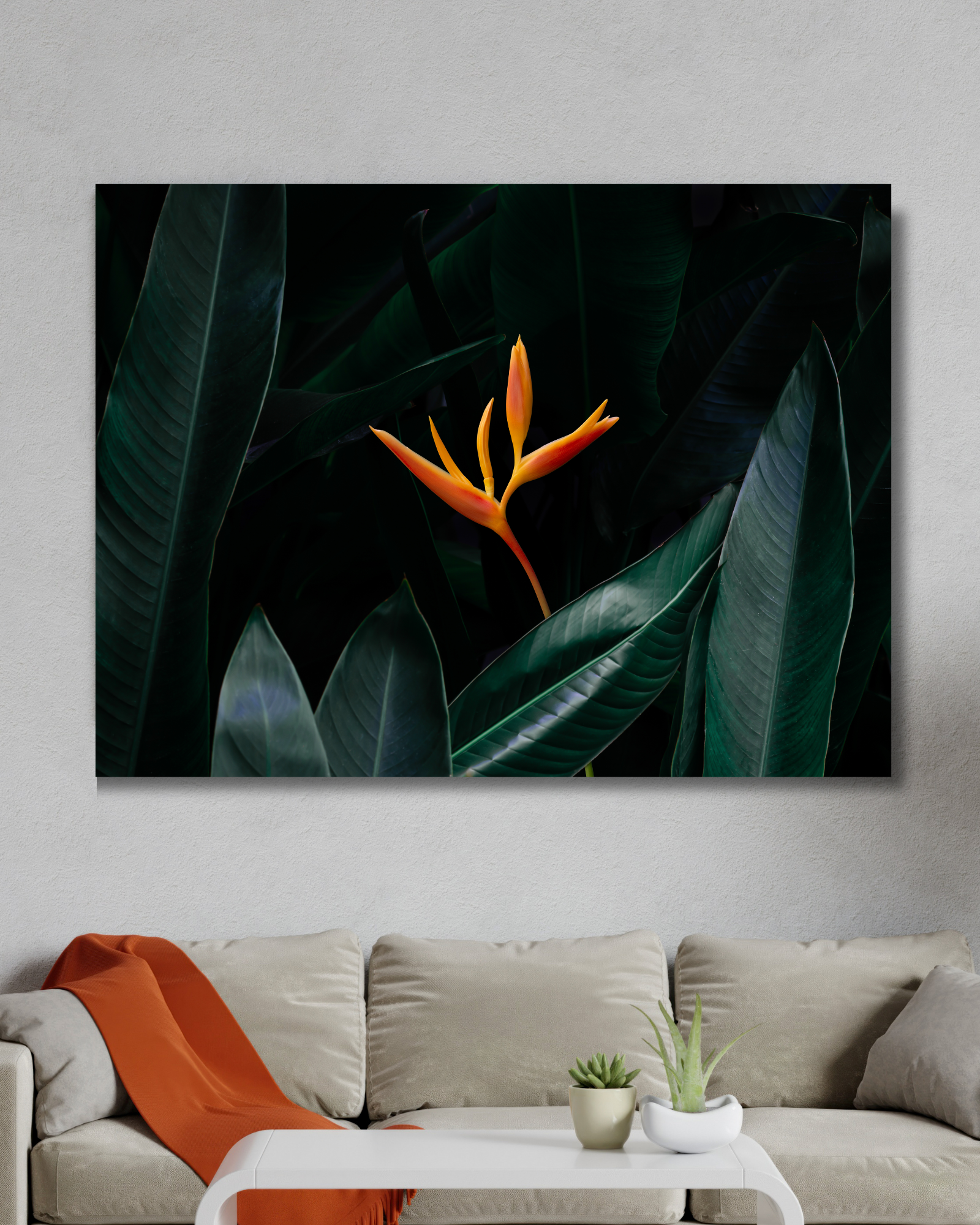 Cuadro Heliconia