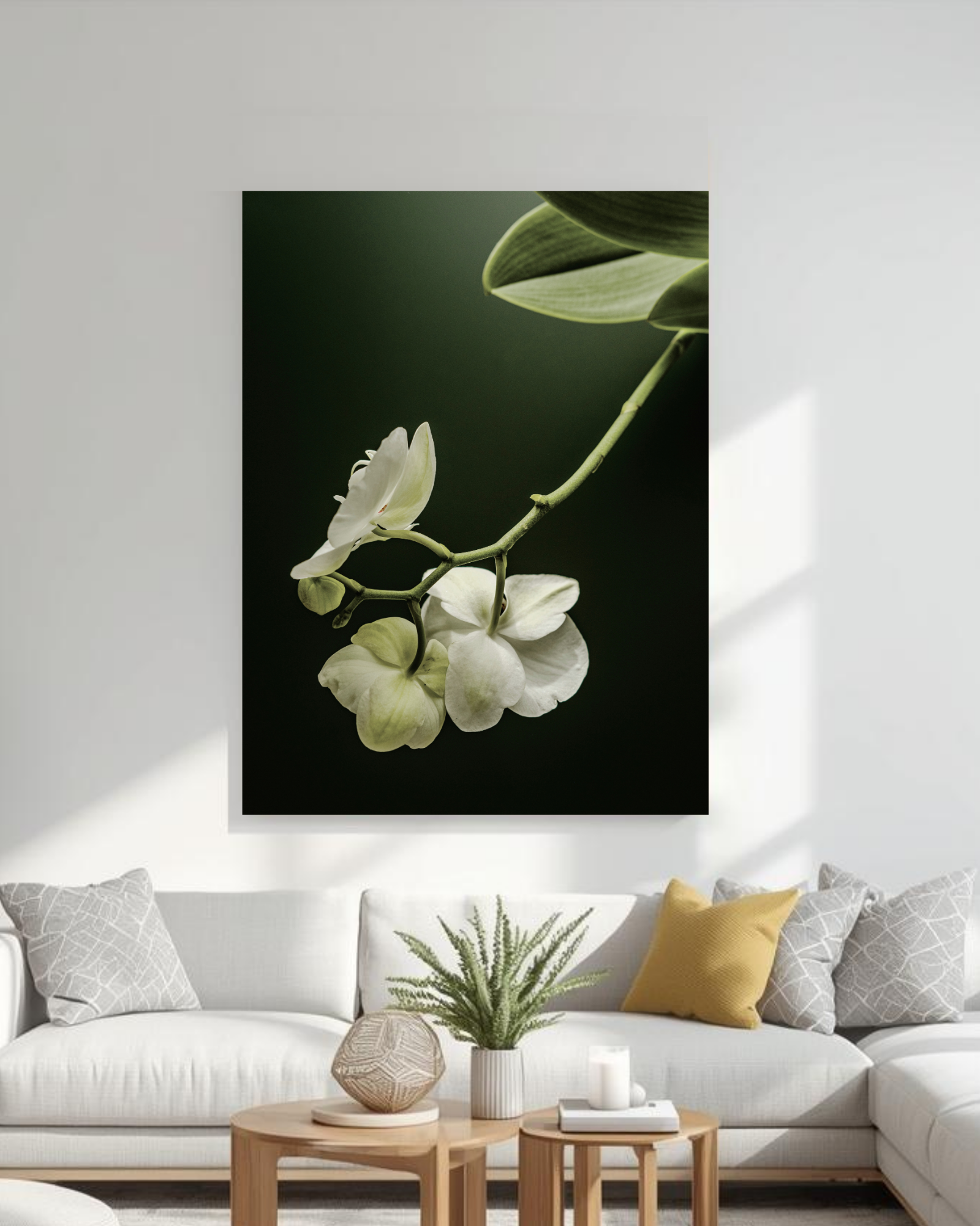 Cuadro Cattleya