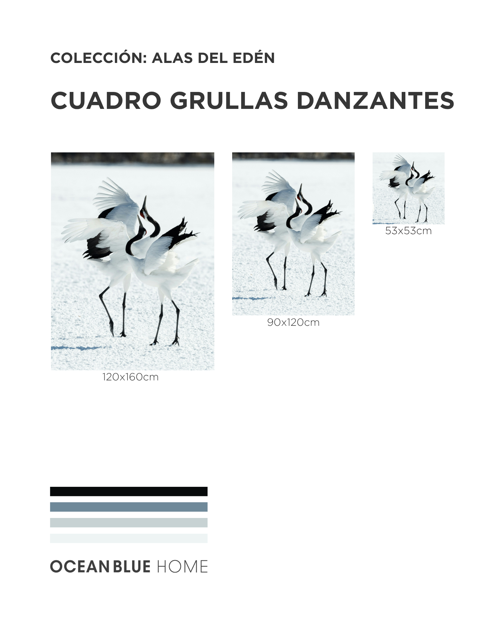 Cuadro Grullas Danzantes