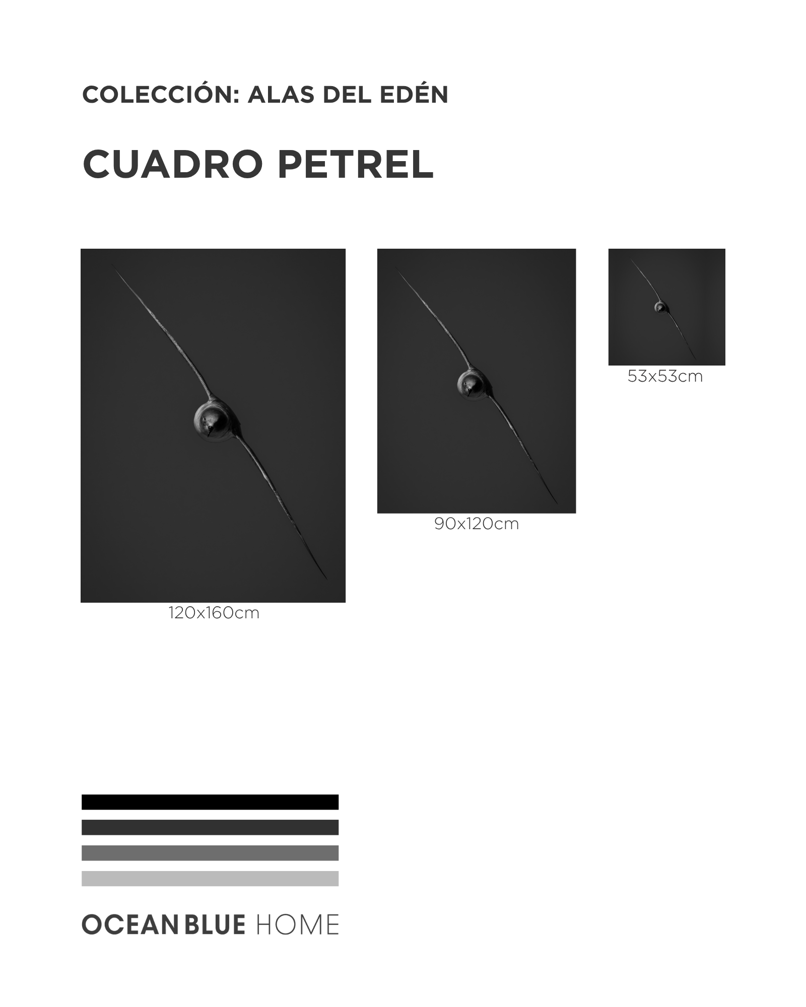 Cuadro Petrel