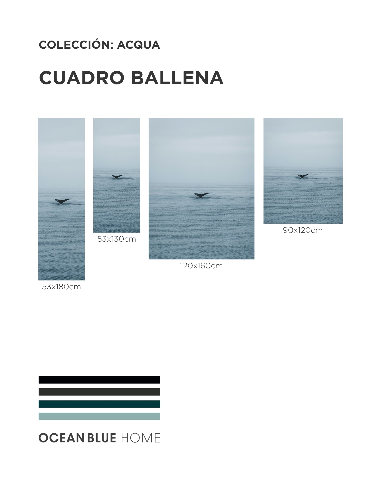 Cuadro Ballena