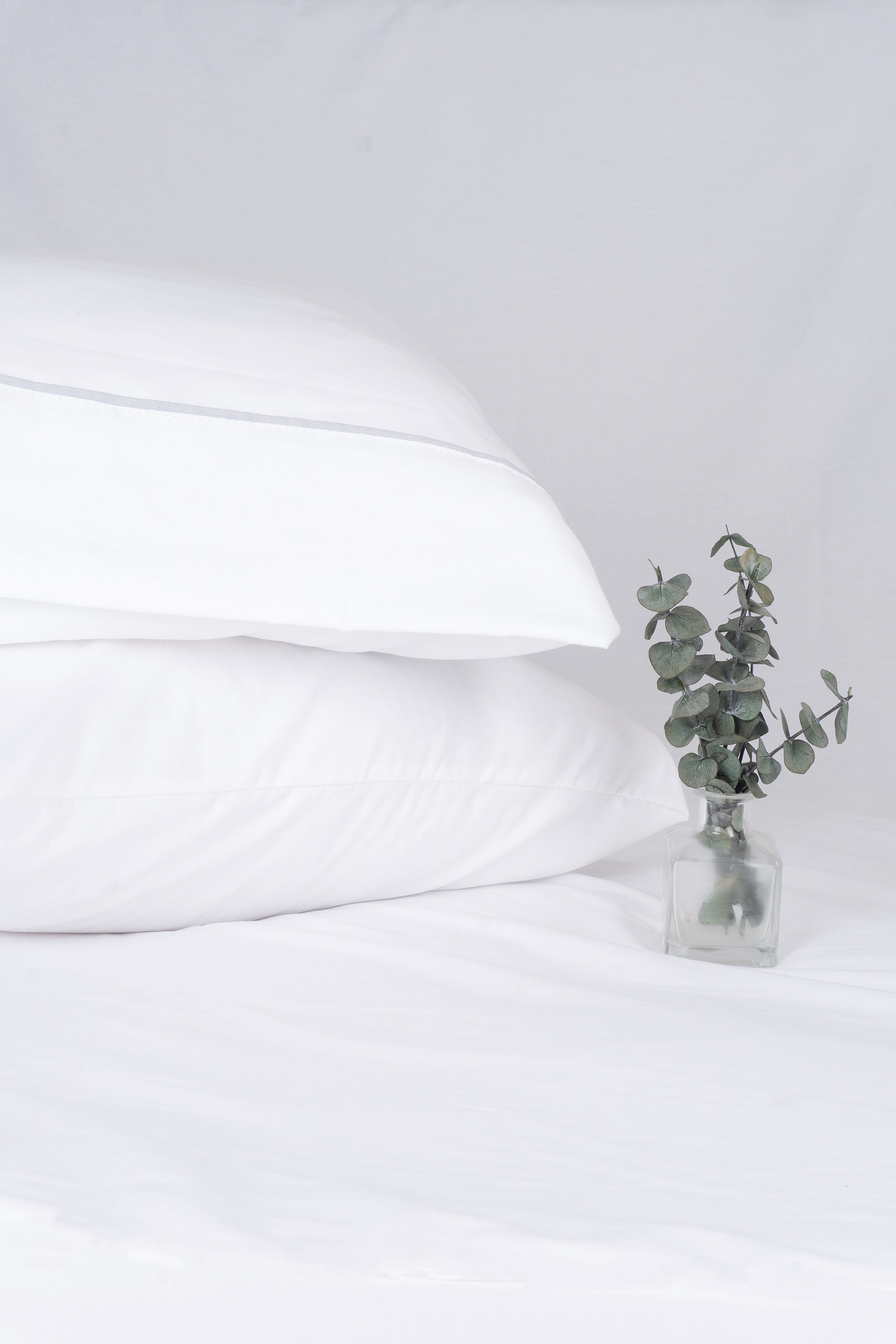 Fundas de Almohada Gales 250 hilos Polialgodón