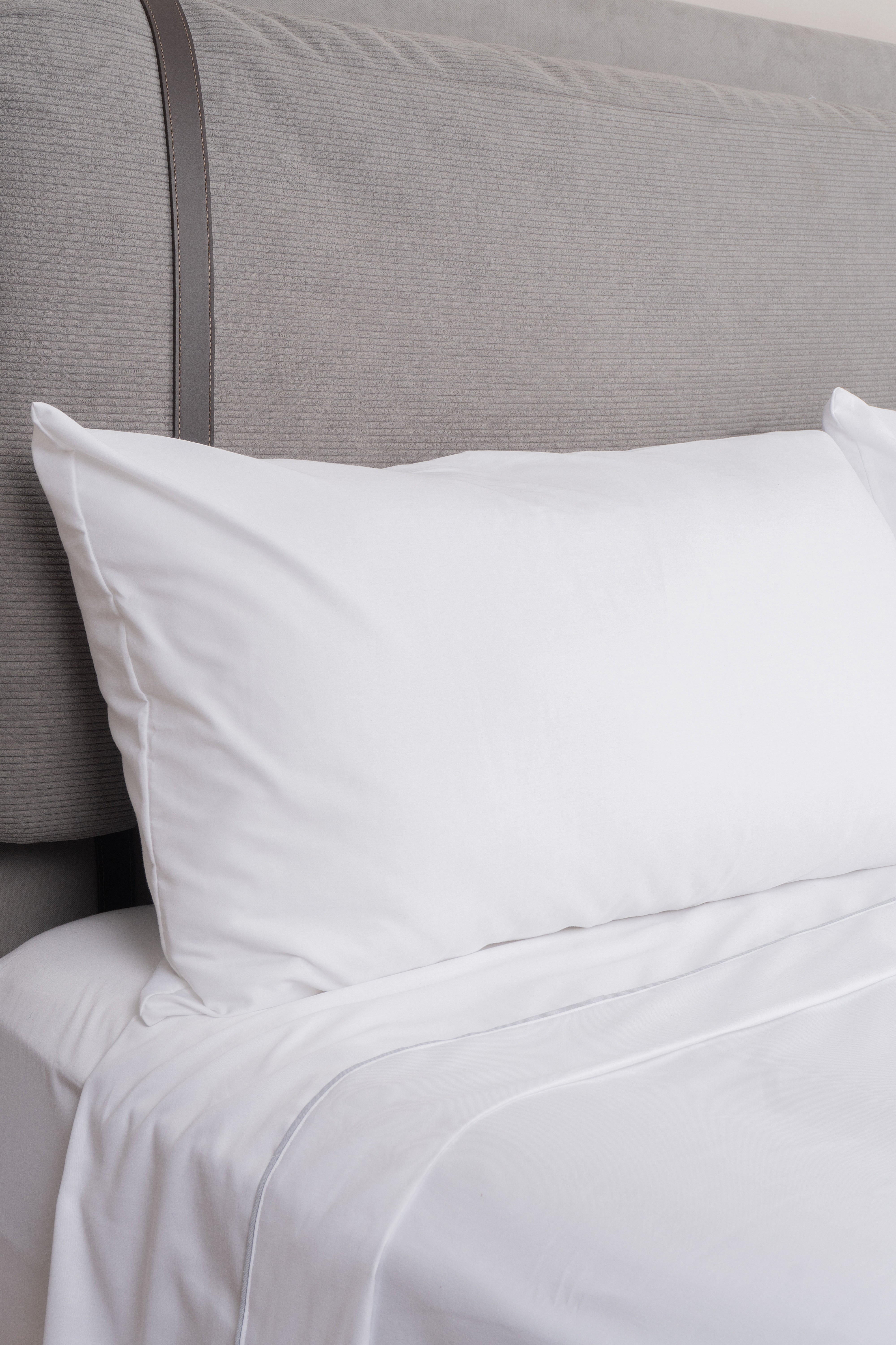 Fundas de Almohada Gales 250 hilos Polialgodón