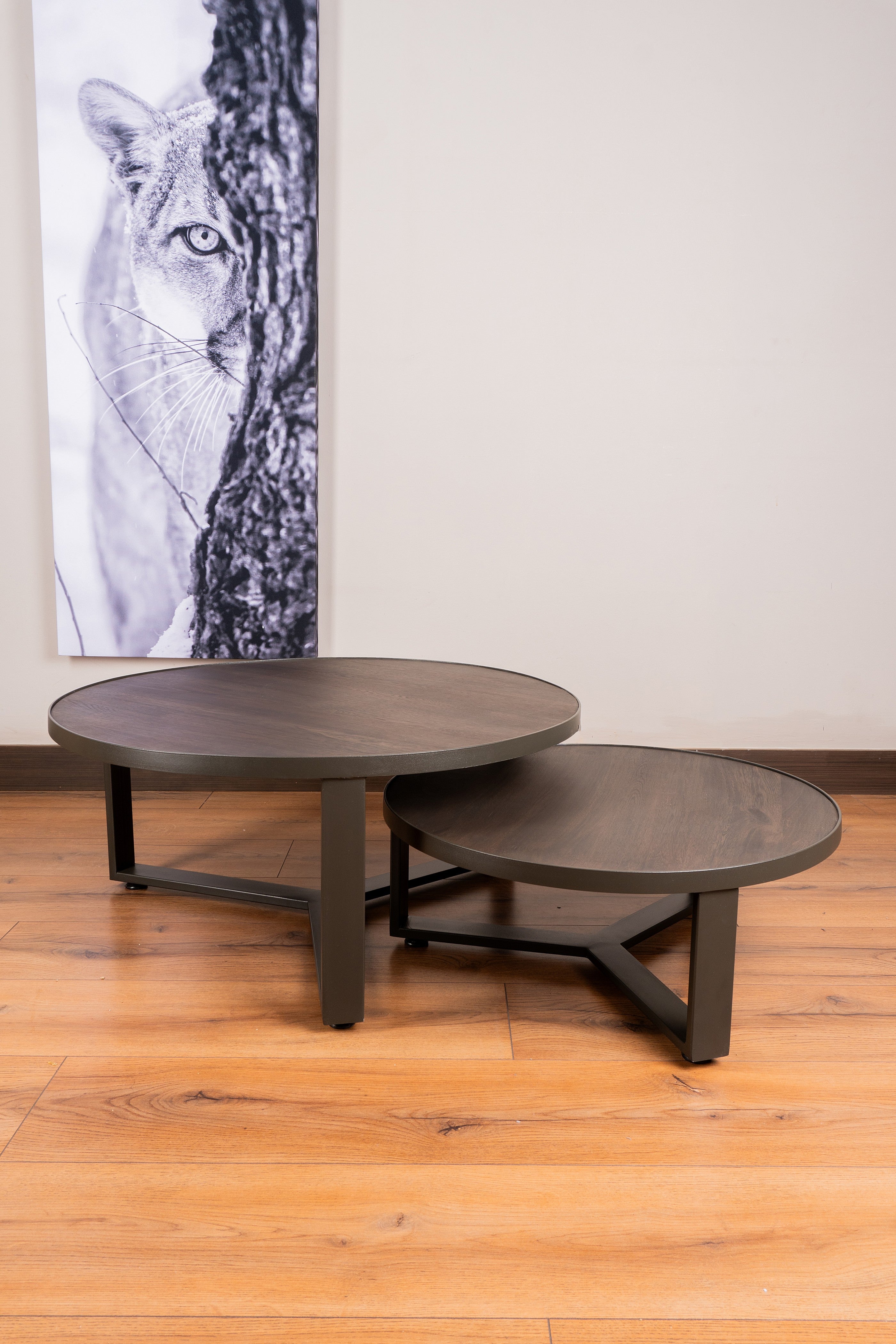 Elegant Mesa de Centro Nápoles with a contemporary design, featuring light-toned Flormorado wood and a matte gray steel frame.