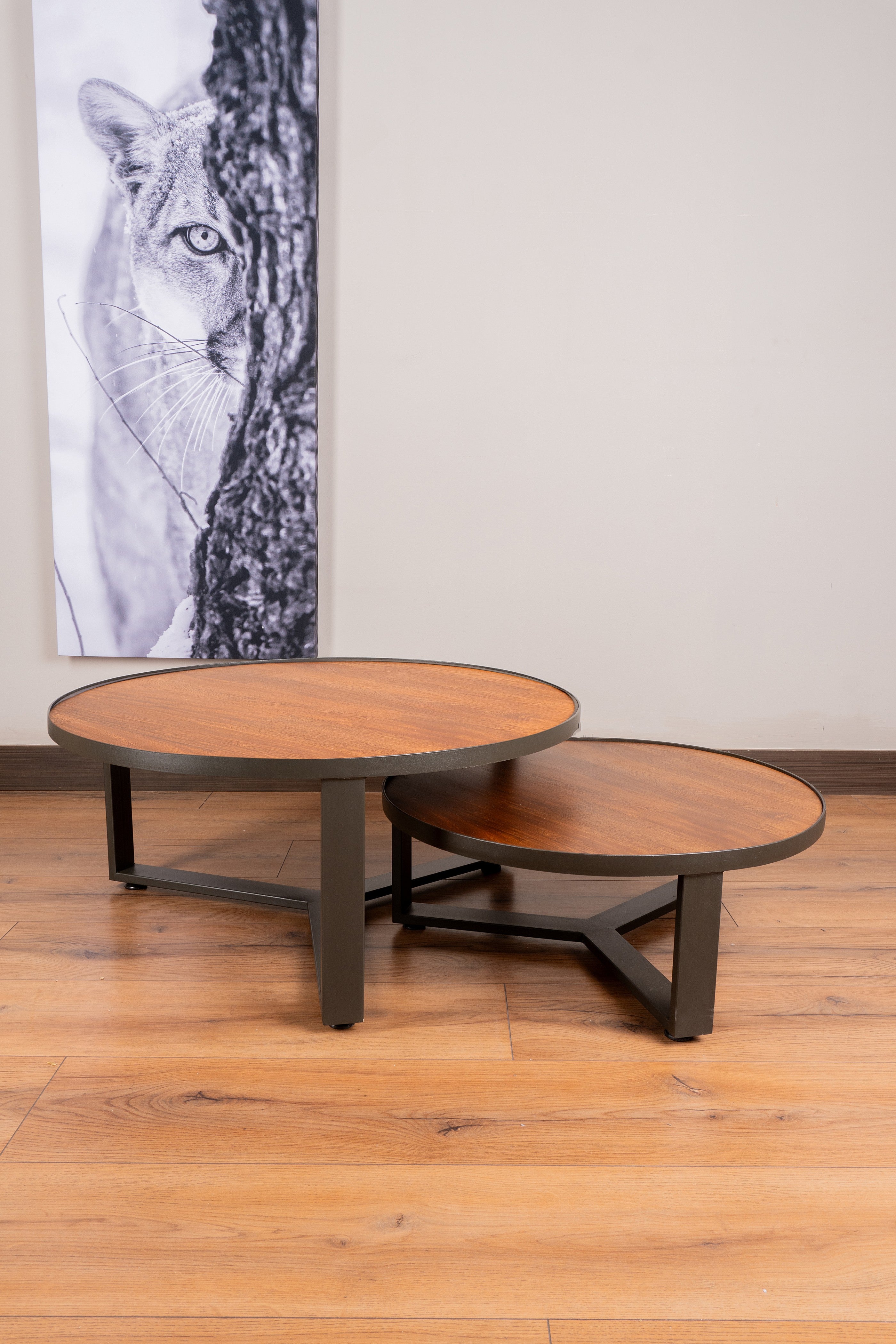 Elegant Mesa de Centro Nápoles with a contemporary design, featuring light-toned Flormorado wood and a matte gray steel frame.