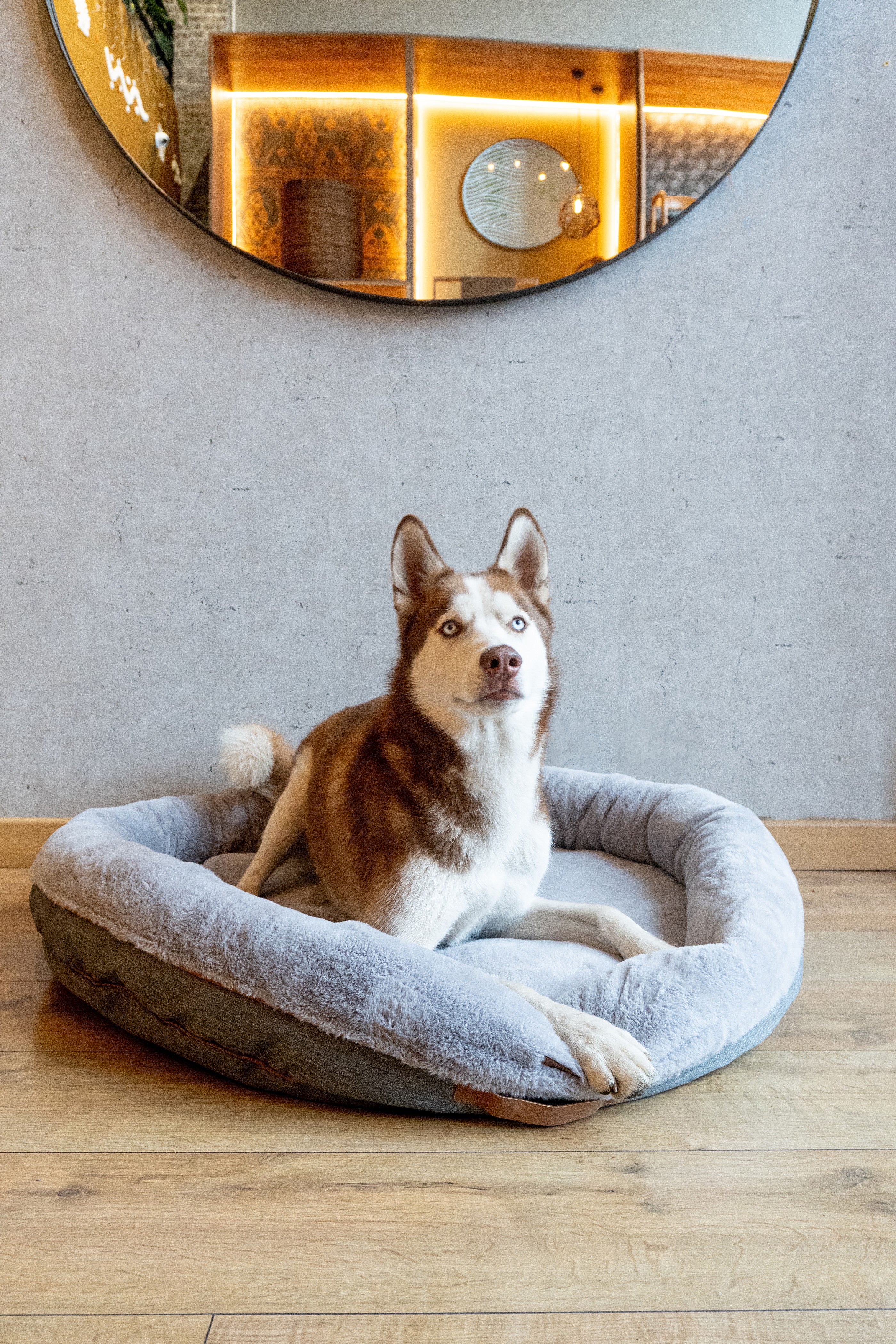 Cozy gray Pouf Pets Paco Gris pet bed with a soft, furry texture and non-slip base, perfect for pets to rest comfortably.