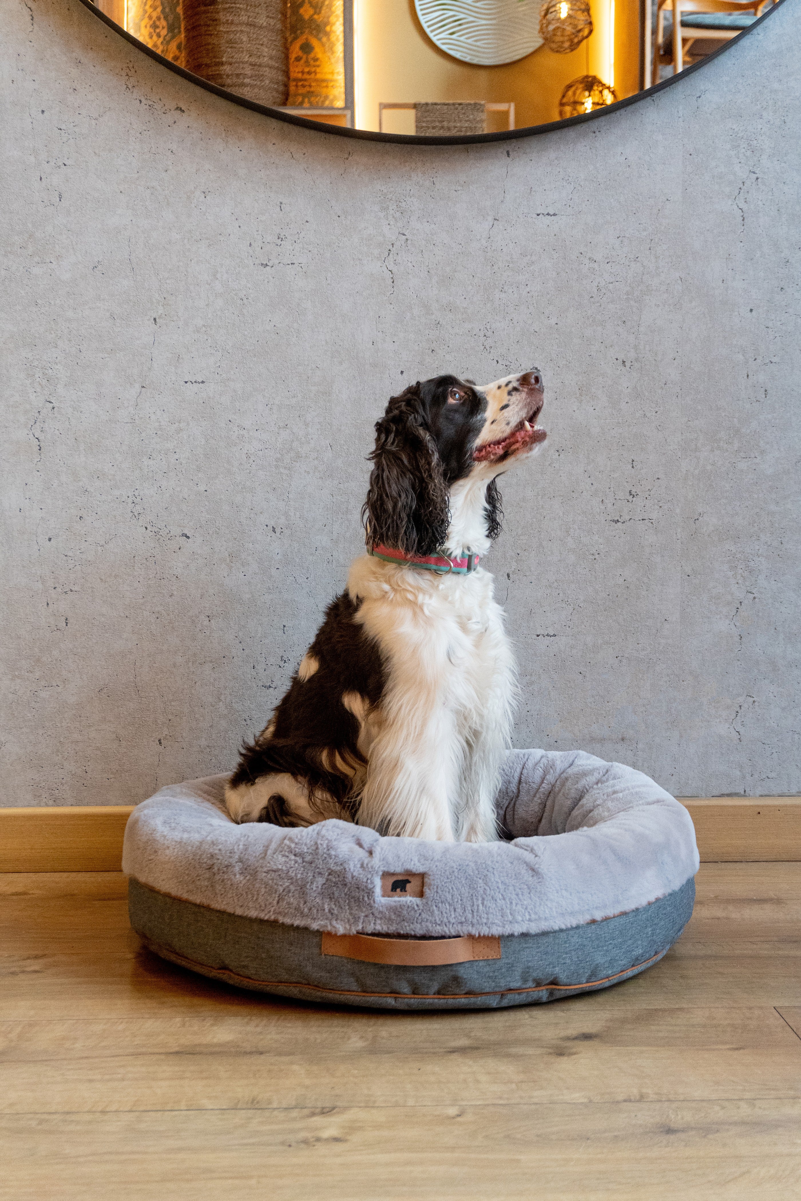 Cozy gray Pouf Pets Paco Gris pet bed with a soft, plush surface and non-slip base, perfect for pets to relax in comfort.