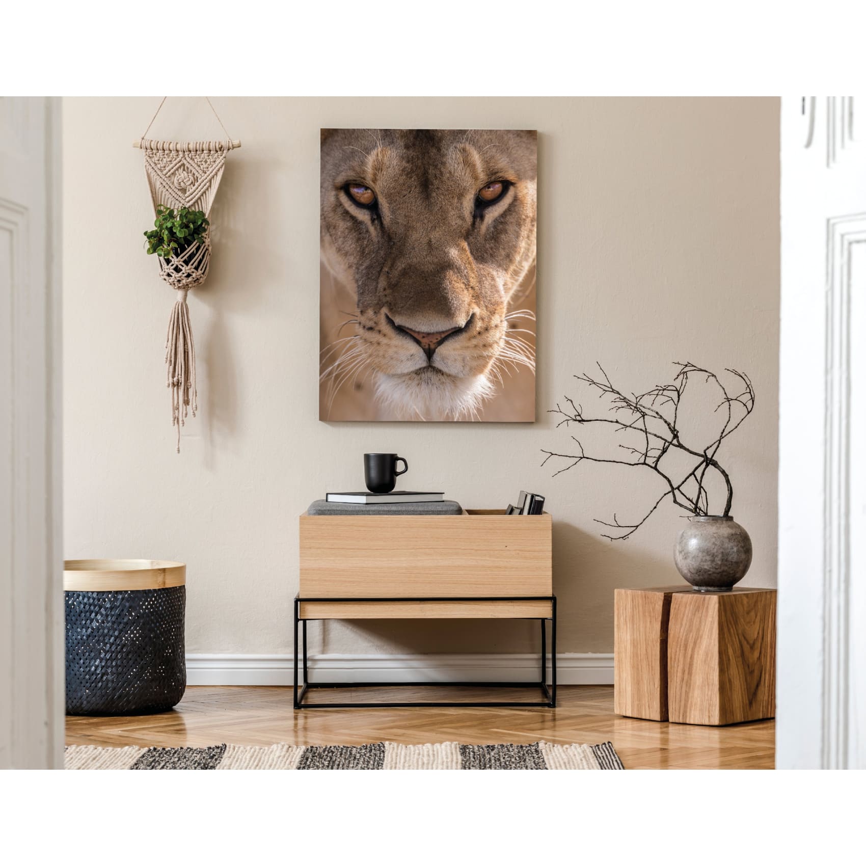 cuadro decorativo, decoración, sala, estudio, habitación, colección animales