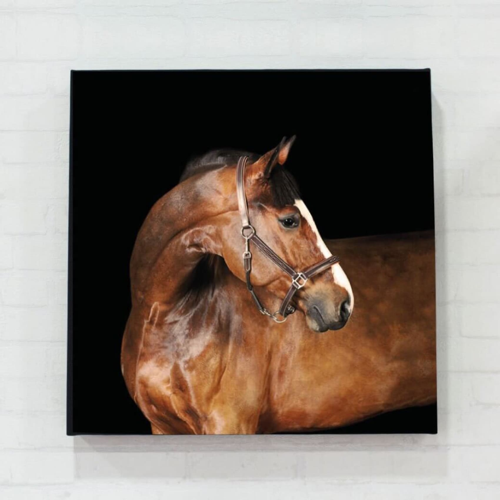 Vibrant Cuadro Barú wall art featuring sharp, colorful details on premium canvas, perfect for elegant home decor.