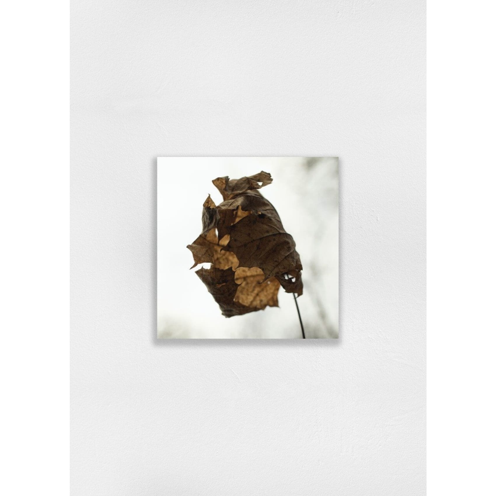 cuadro decorativo, decoración, sala, estudio, habitación, diptico, floral