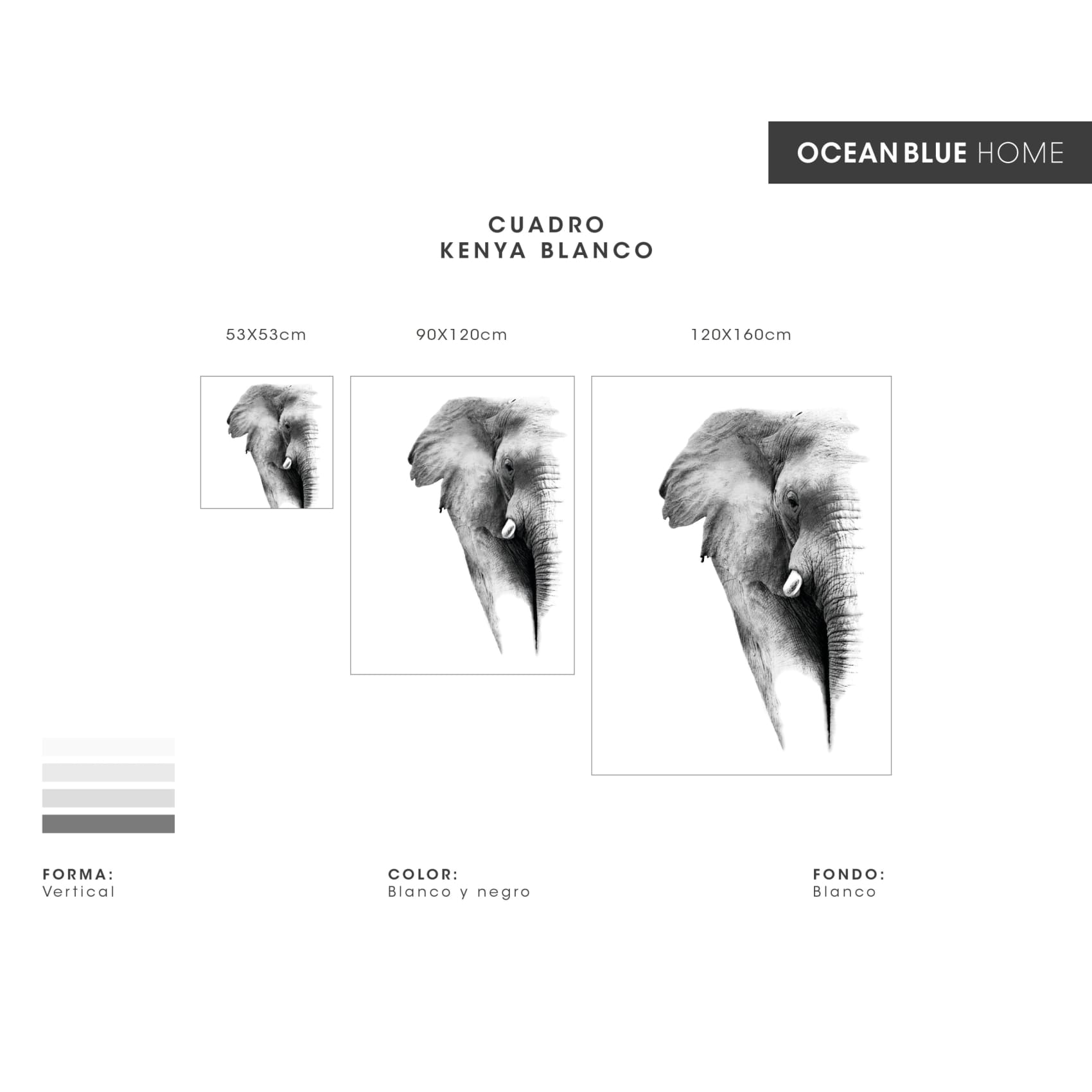 Vibrant Cuadro Kenia Blanco artwork featuring crisp details and bold colors, perfect for elegant home decor.