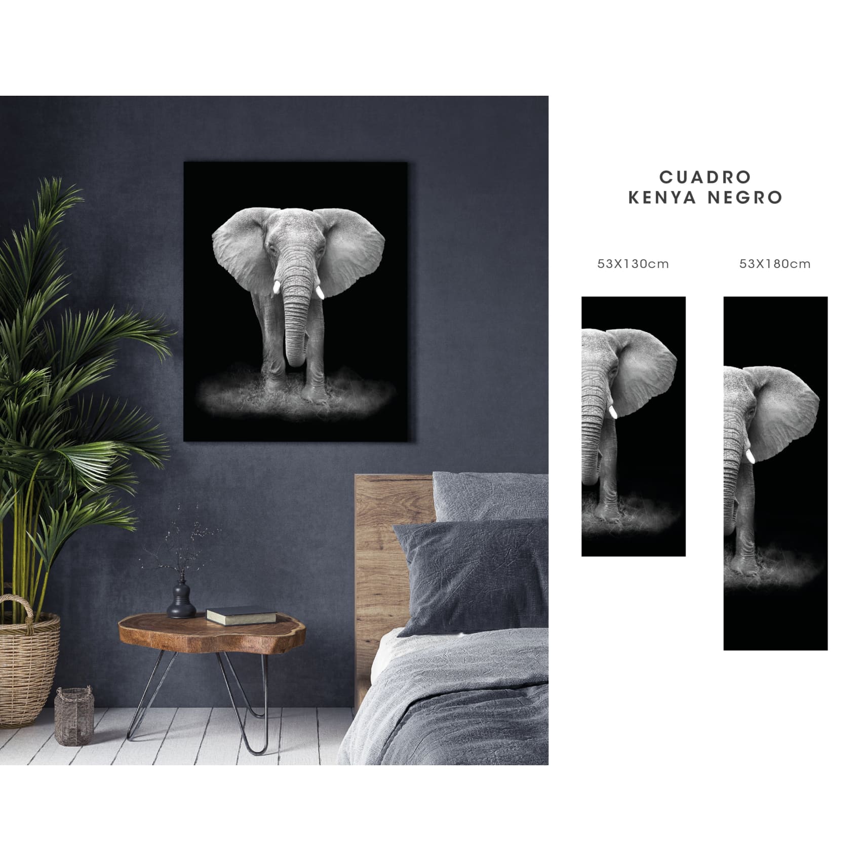 cuadro decorativo, decoración, sala, estudio, habitación, animal, elefante