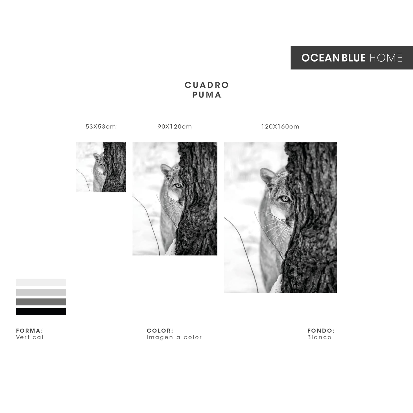 Stunning Cuadro Puma wall art featuring a vibrant, high-quality digital print of a puma with sharp, lifelike details.