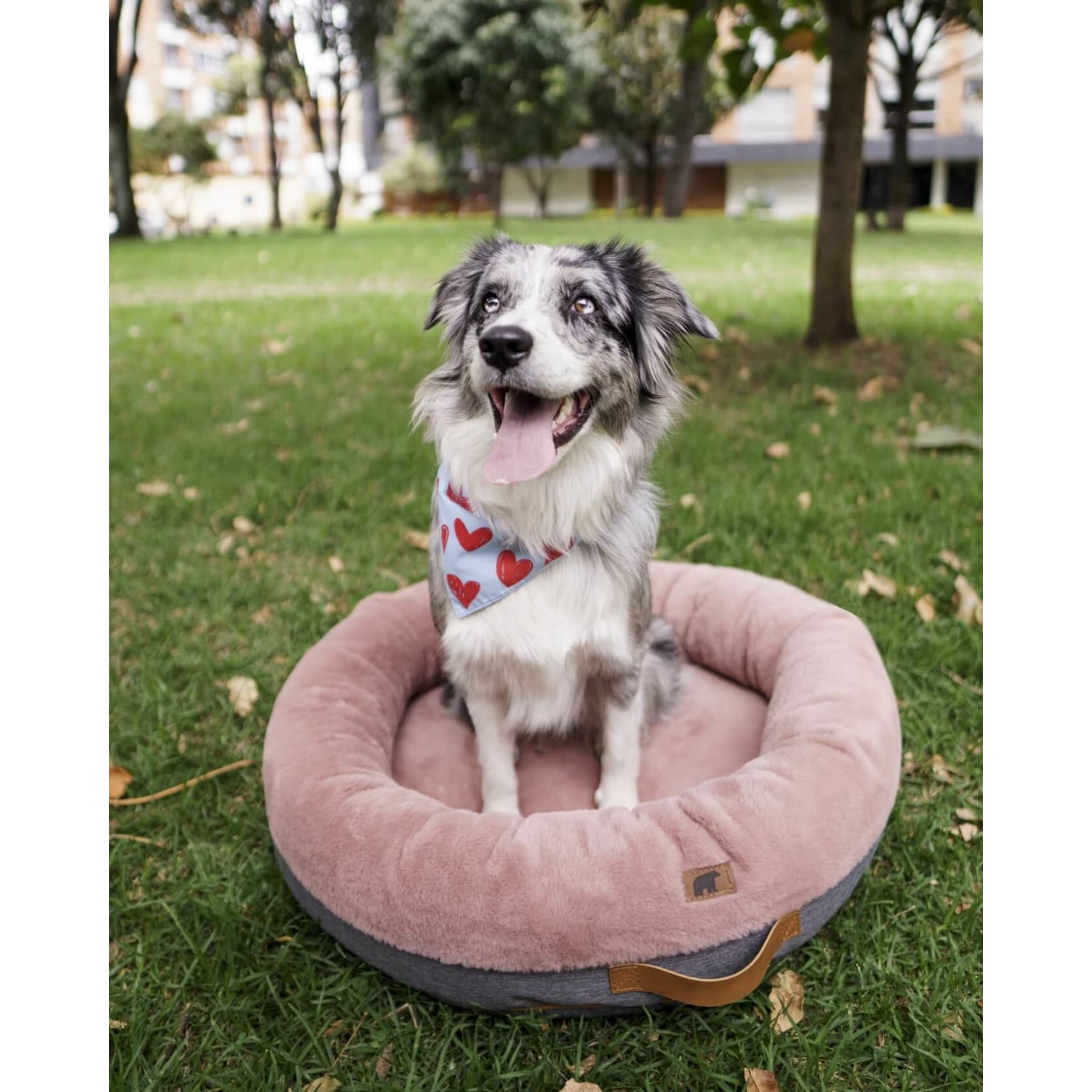 Puff pets , cama, mascota, linea pets, comodidad