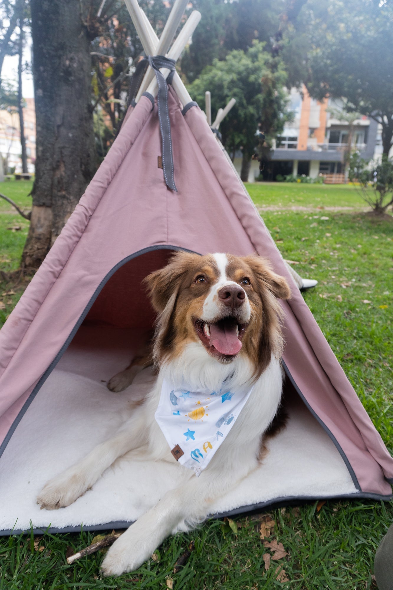 Cozy Teepe Pets Bongo Marsala pet tent in warm tones, crafted from durable canvas with a soft foam base for comfort.