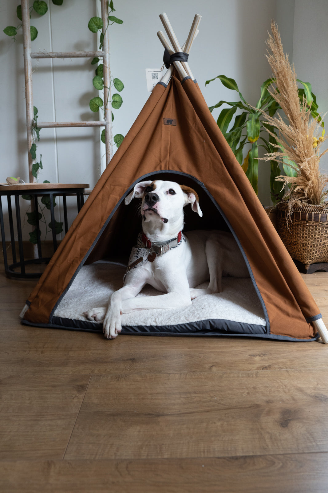Cozy Teepe Pets Bongo Roble tent for pets, crafted from durable canvas in stylish colors, with a comfy foam base.
