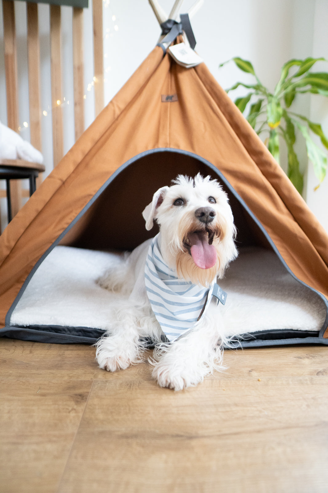 Cozy Teepe Pets Bongo Roble tent for pets, crafted from durable canvas in stylish colors, with a removable mat for easy cleaning.