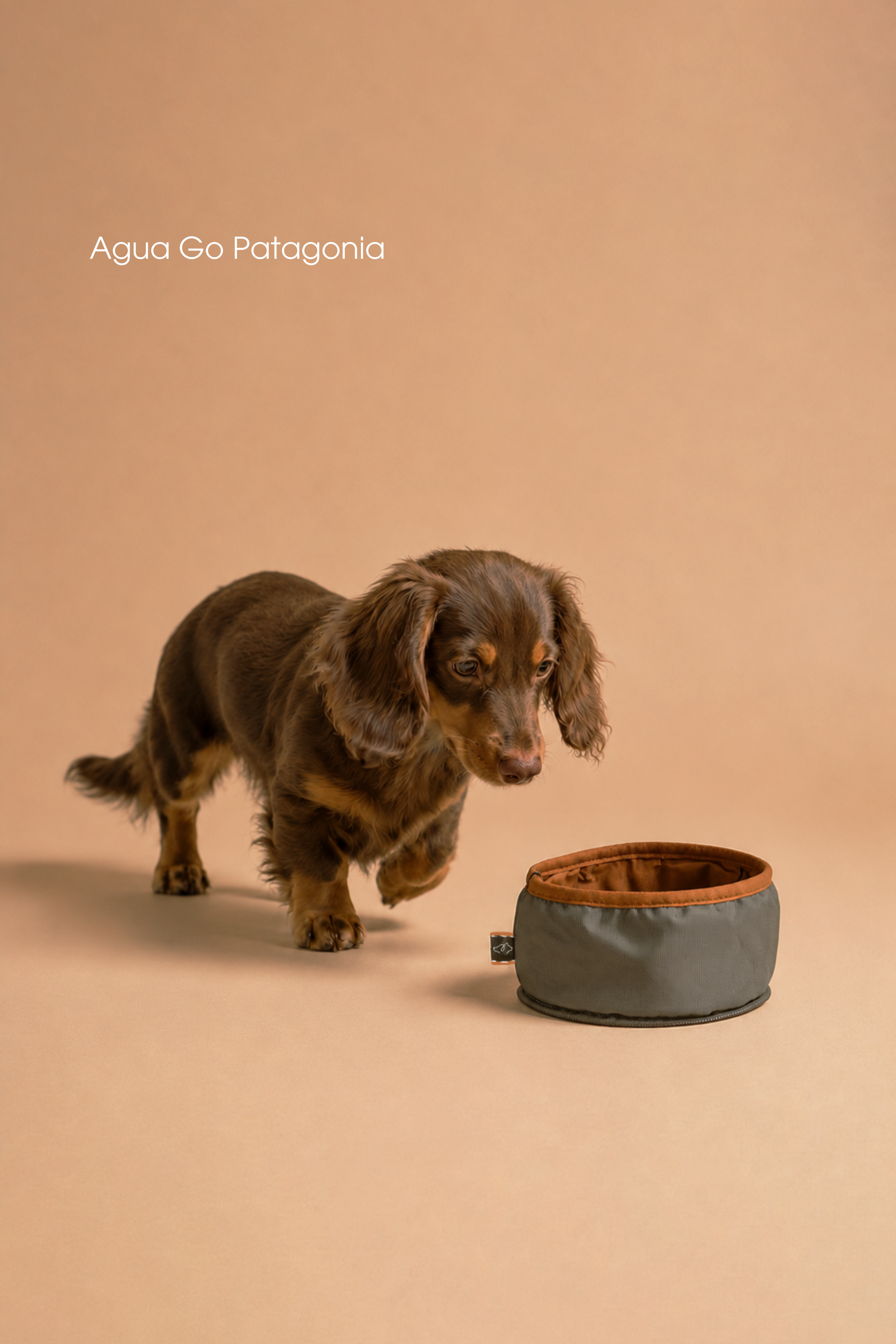 Bebedero Pets Patagonia Oliva