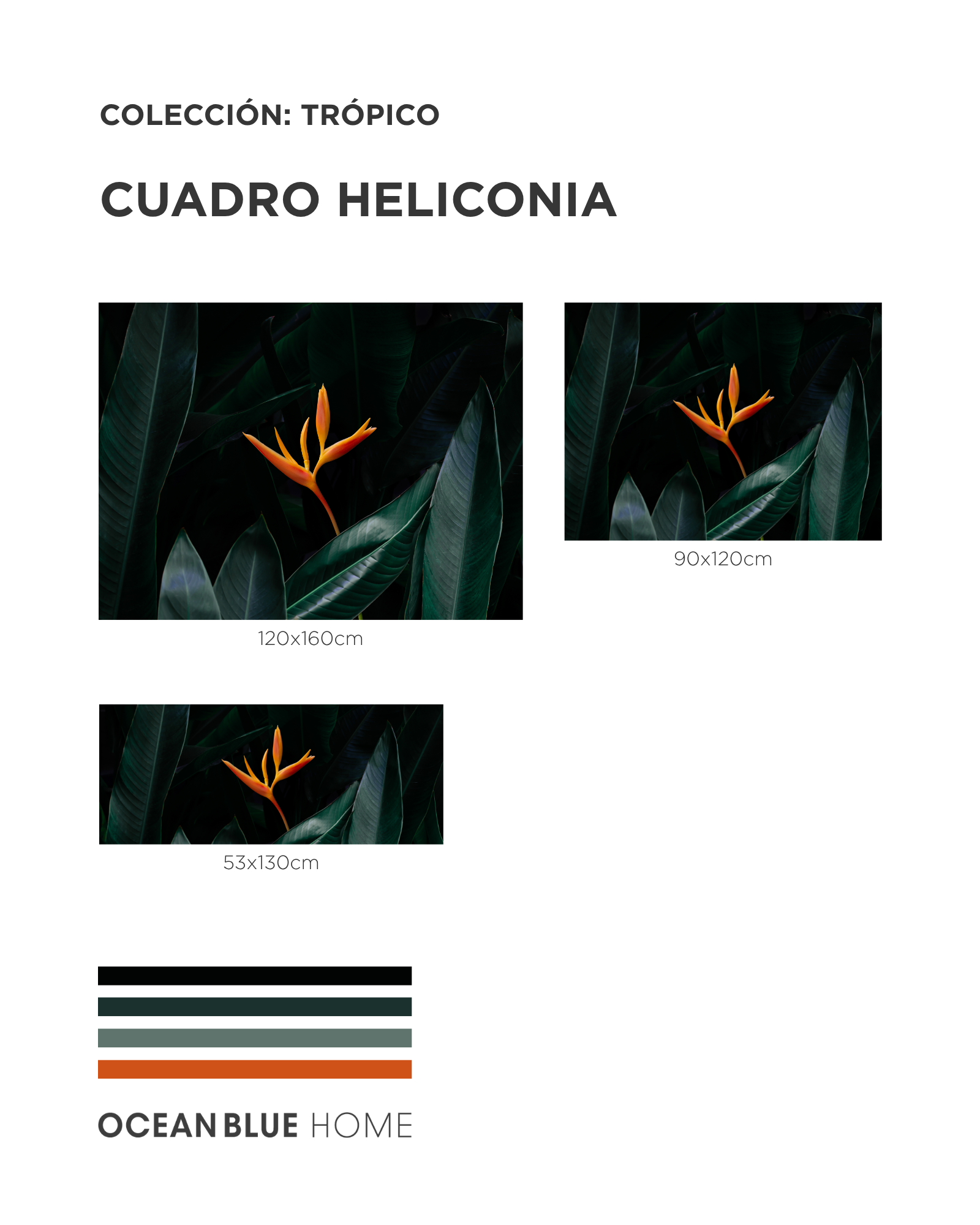 Cuadro Heliconia