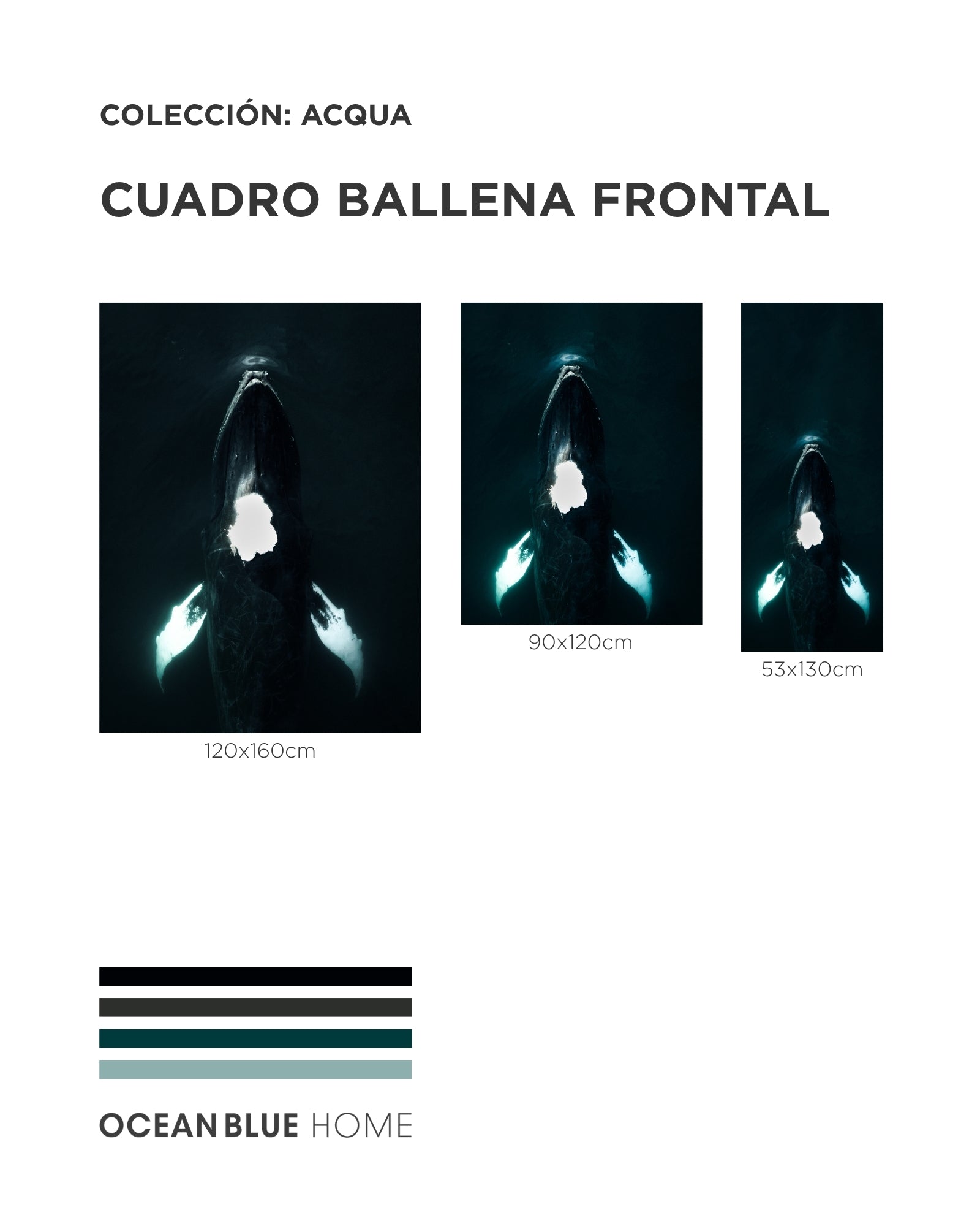 Cuadro Ballena Frontal