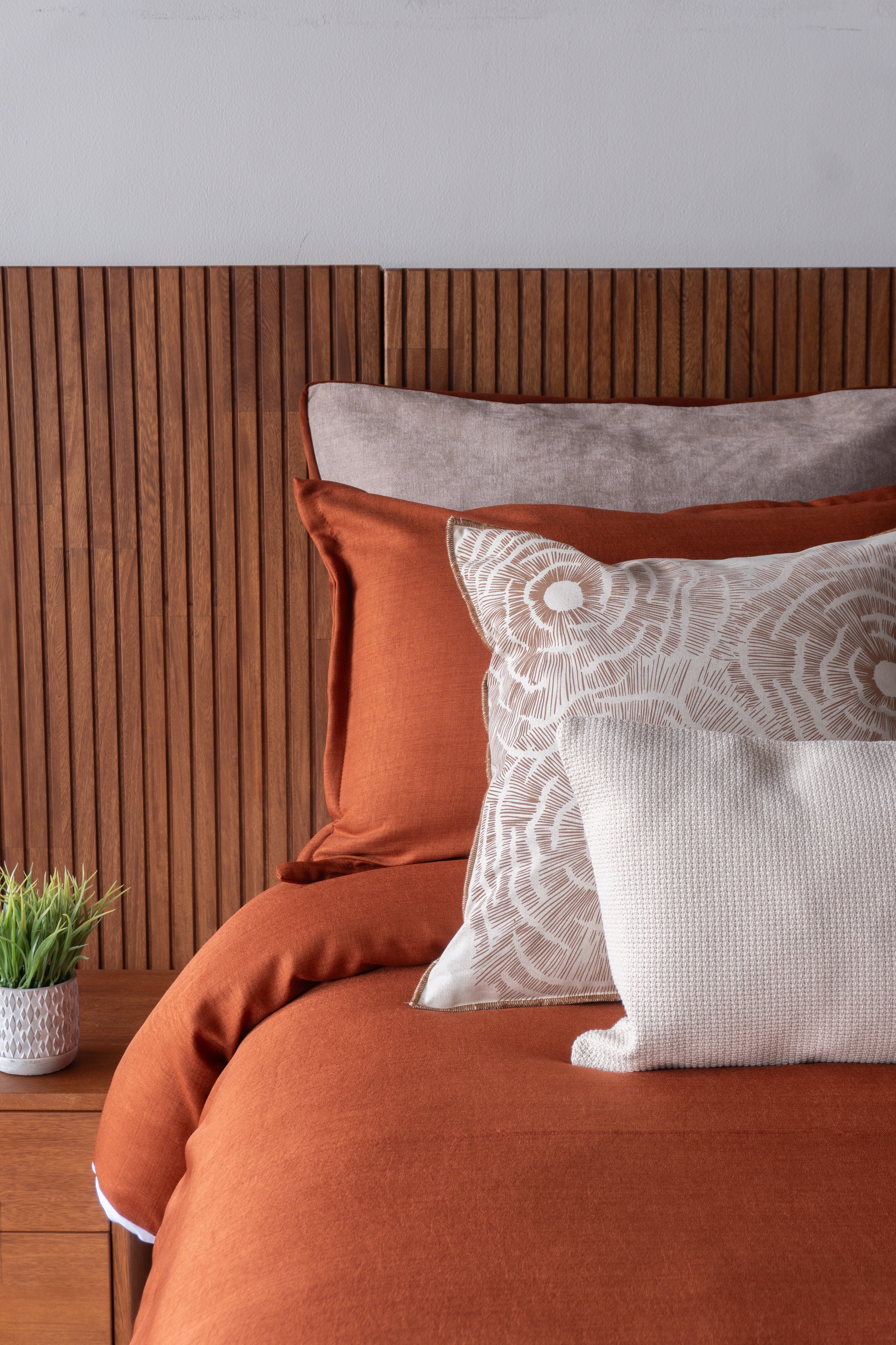 Set Duvet Congo Terra