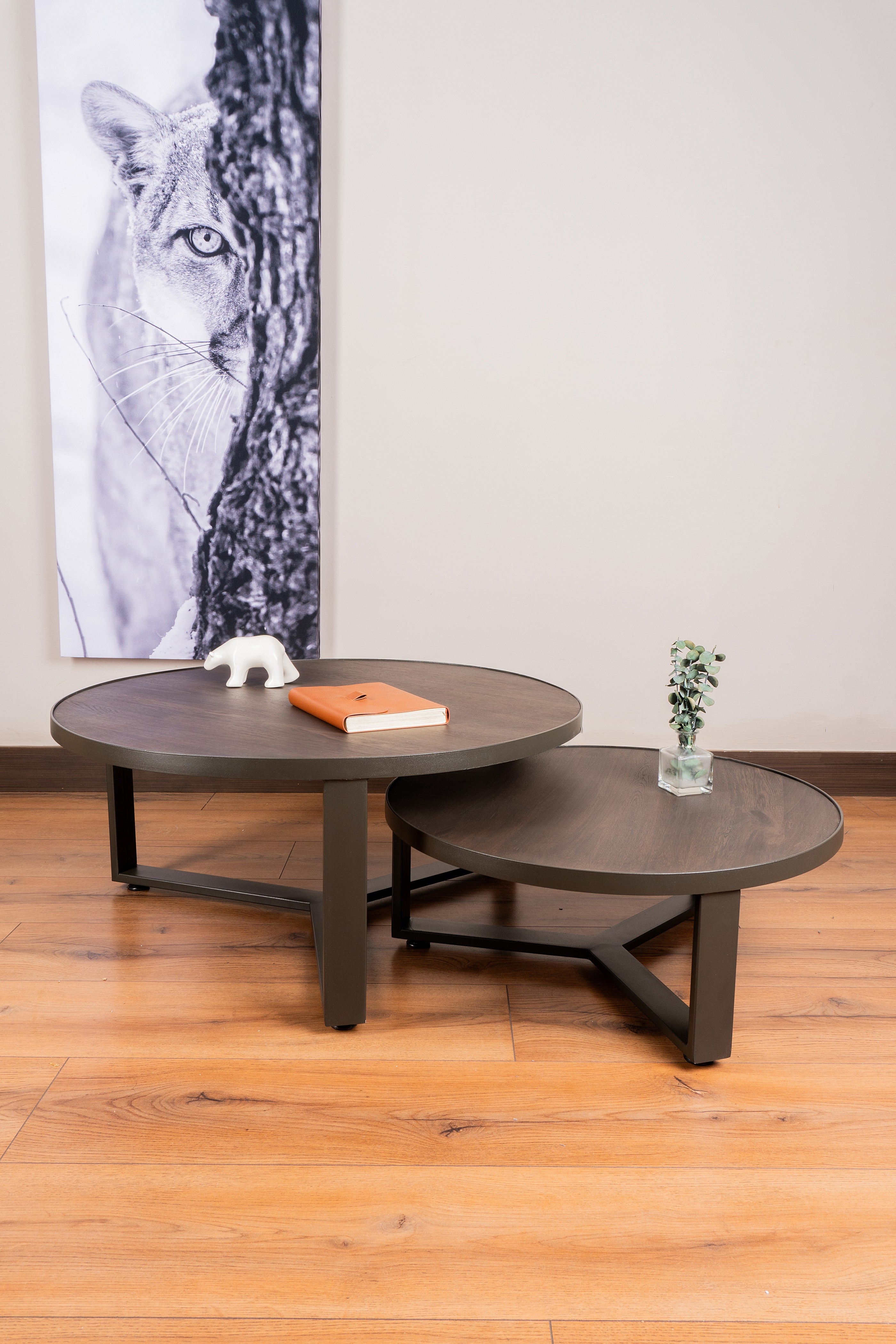 Elegant Mesa de Centro Nápoles with a contemporary design, featuring light-toned Flormorado wood and a matte gray steel frame.