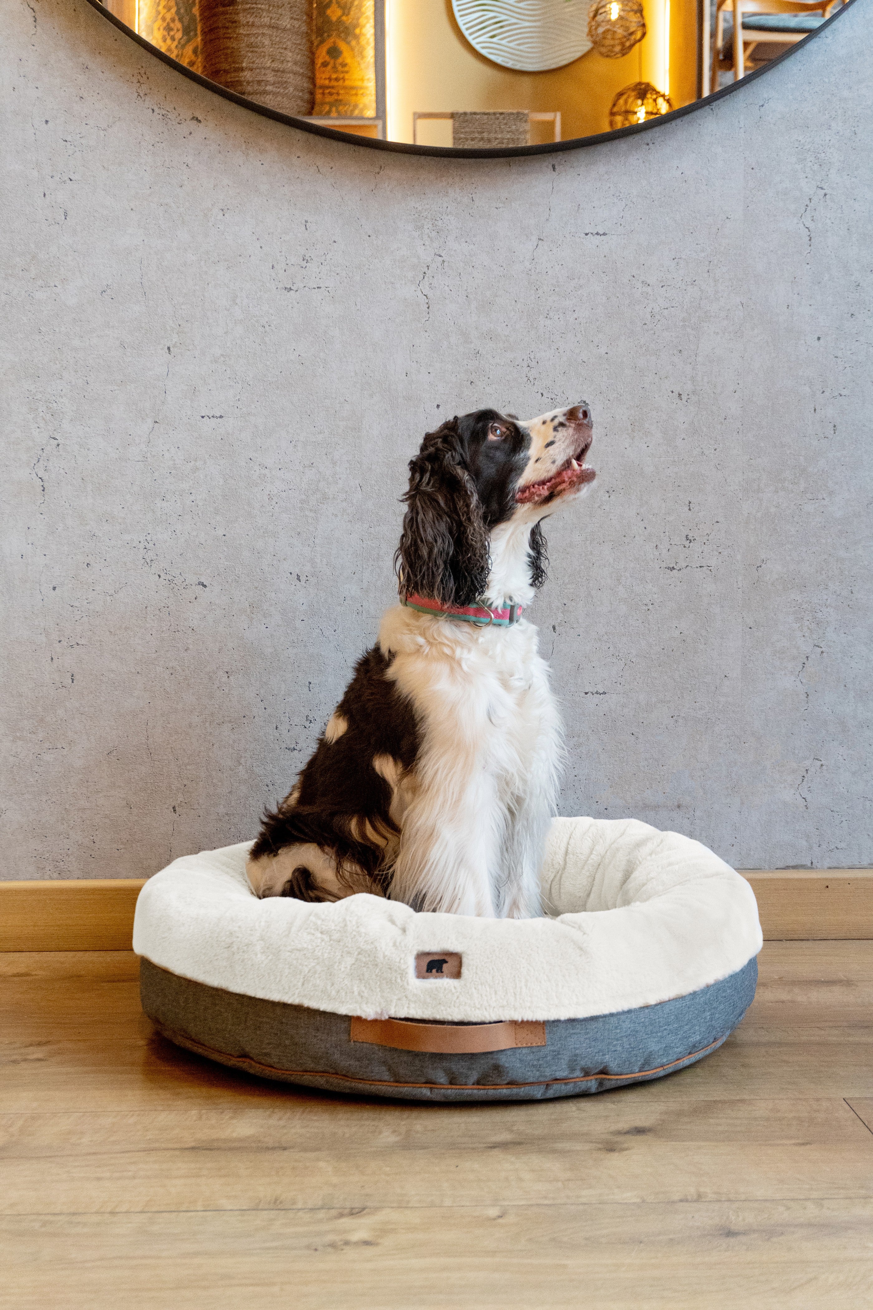 Cozy Pouf Pets Paco Crudo pet bed in a soft, neutral tone, featuring a plush, round design with a non-slip base for pet comfort.
