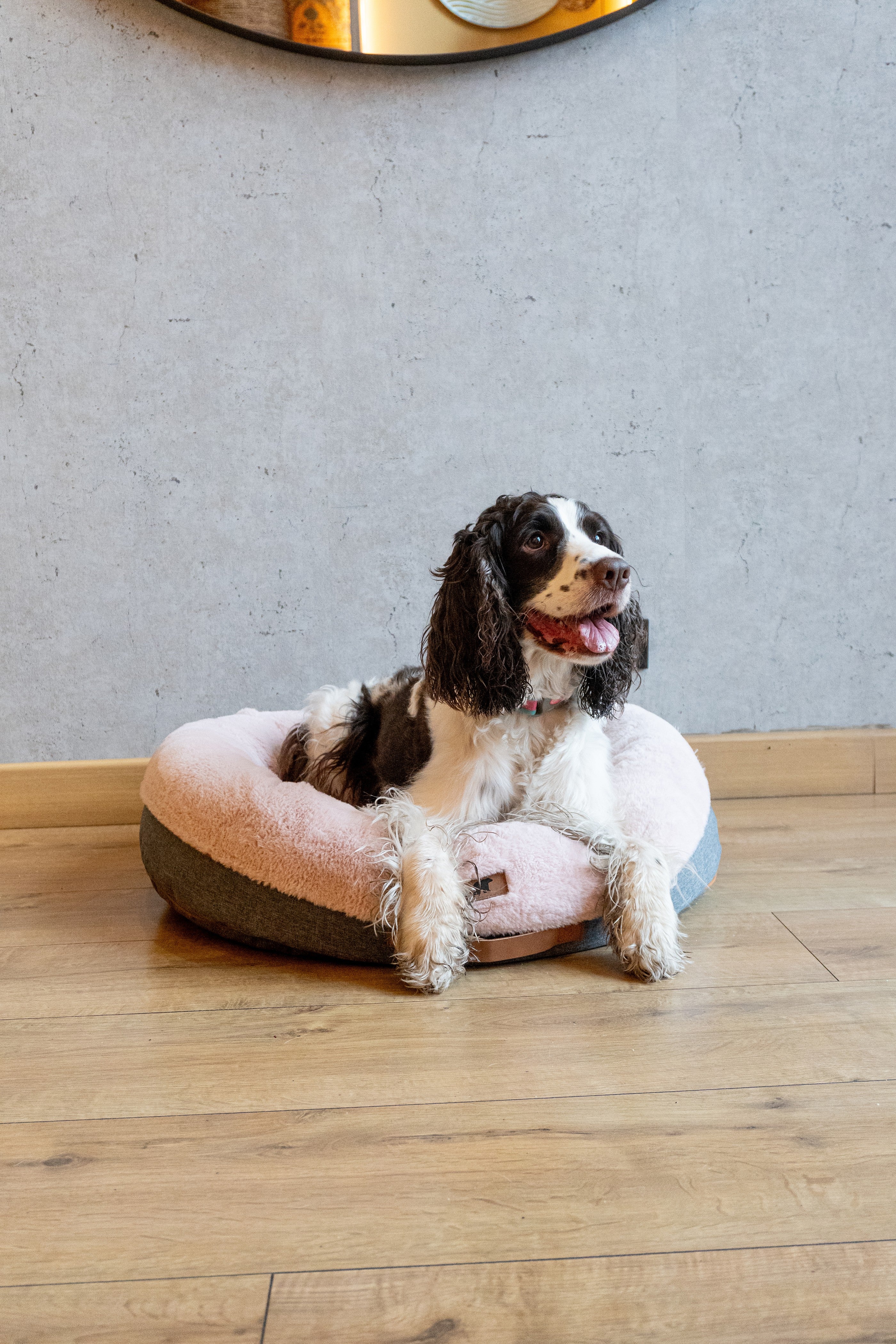 Cozy pink Pouf Pets Paco Palo Rosa pet bed with a soft, plush surface and non-slip base, perfect for pet relaxation.