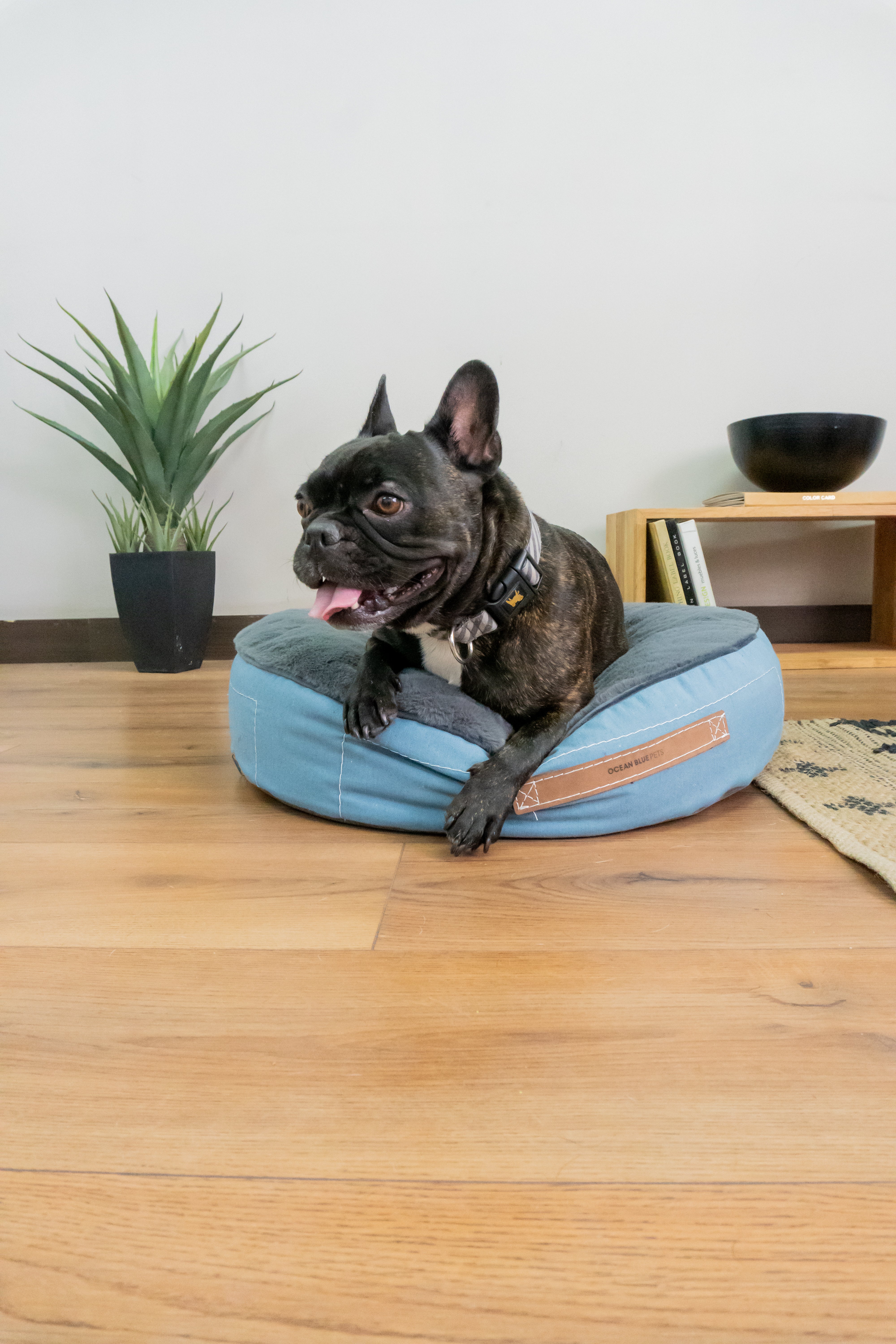 Pouf Pets Cairo Indigo