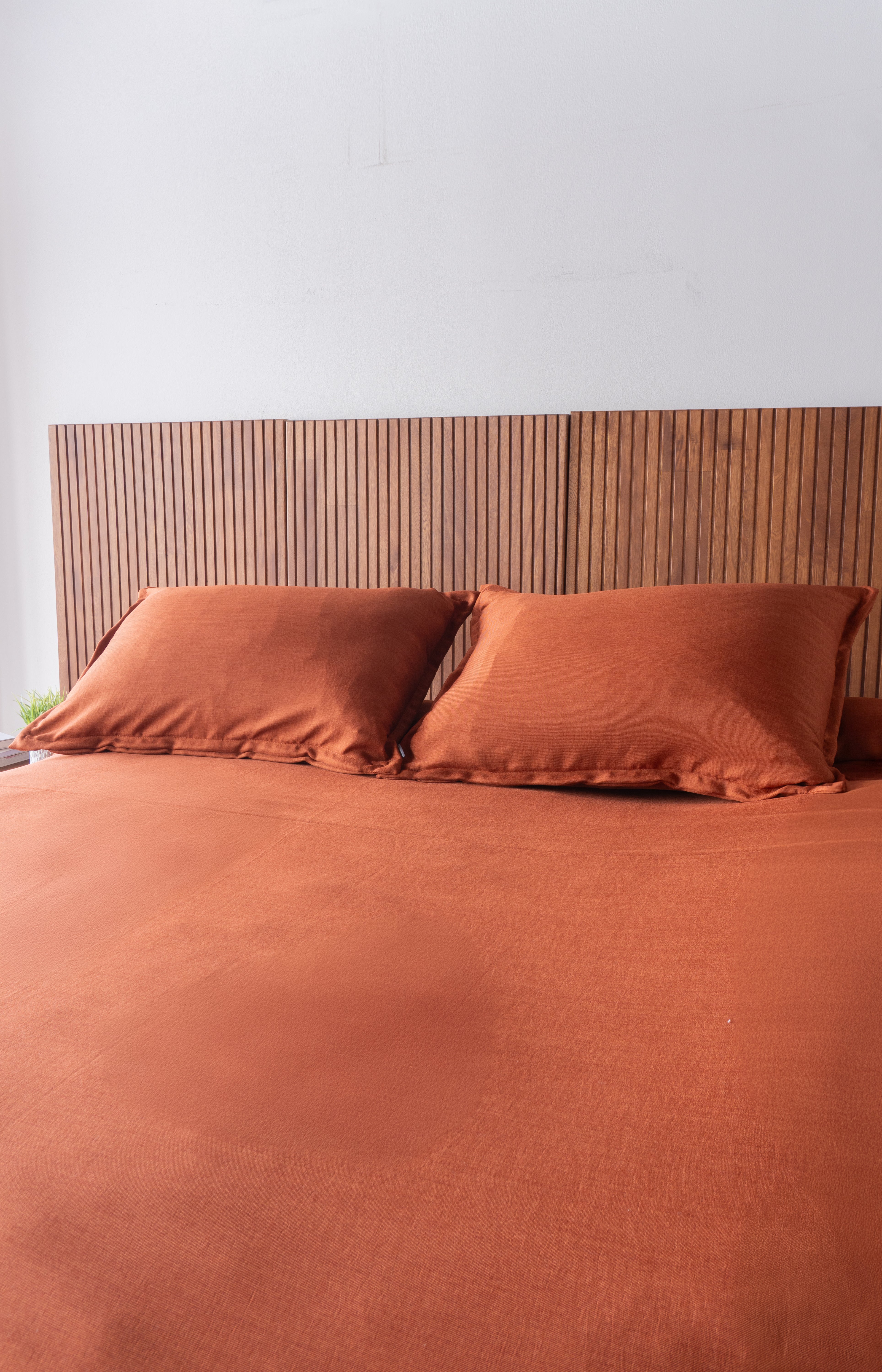 Set Duvet Congo Terra