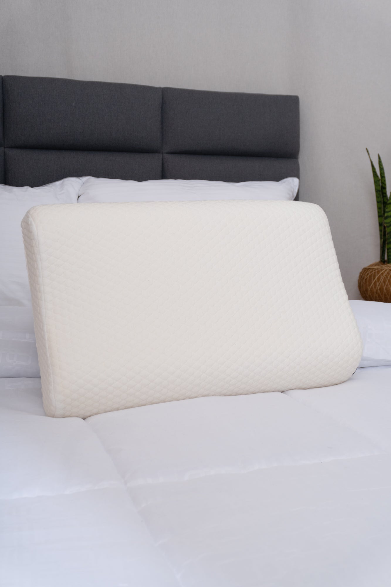 Almohada Memory Foam Ibiza - Almohada