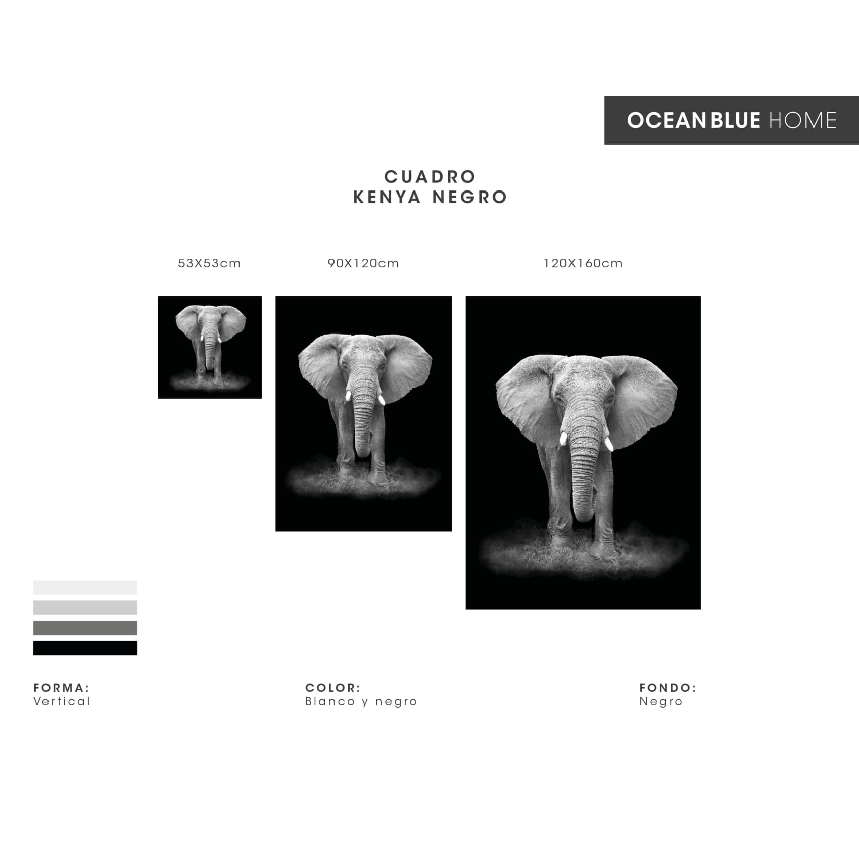 cuadro decorativo, decoración, sala, estudio, habitación, animal, elefante