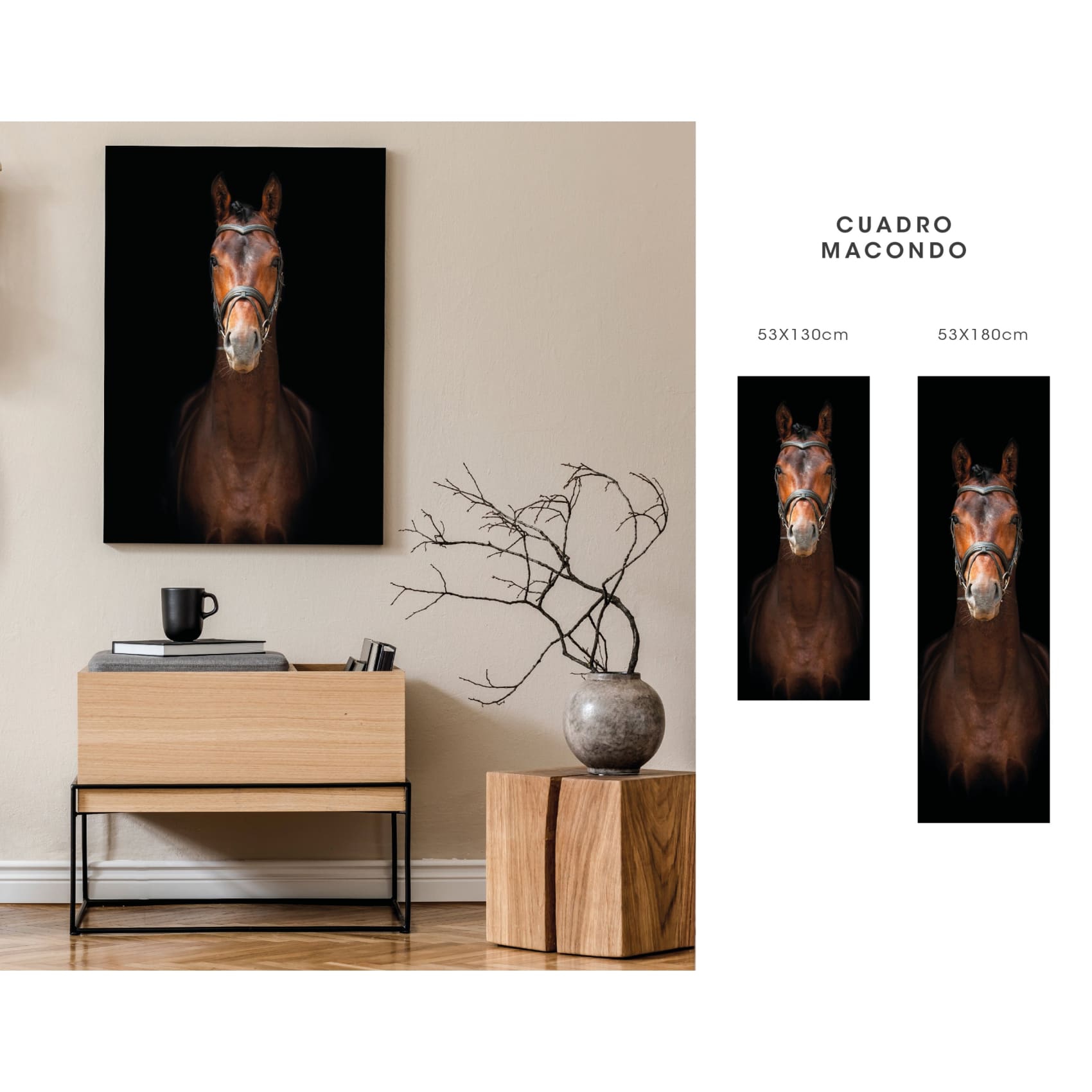 cuadro decorativo, decoración, sala, estudio, habitación, animal, caballo